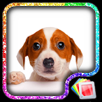 Cover Image of Download Puppies Live Wallpaper  APK