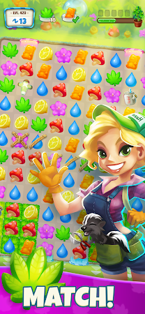 Game screenshot Tasty Buds - Match 3 Idle mod apk