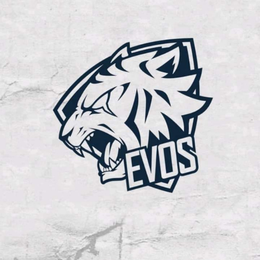 Wallpaper Evos For Fans