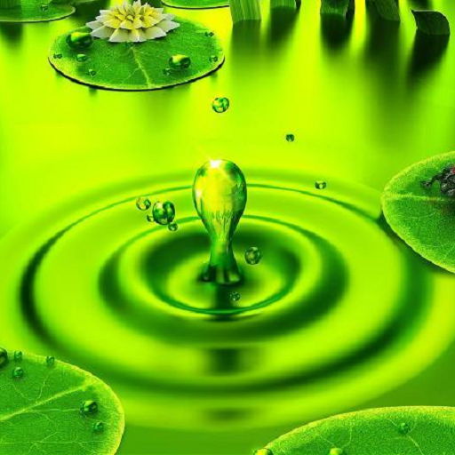 Green Wallpaper Aplicații Pe Google Play