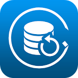 Backups Data icon
