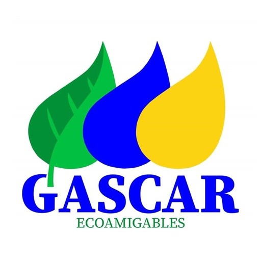 Get Gascar for Android Aso Report