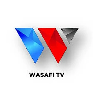 Wasafi Tv: Online Live HD