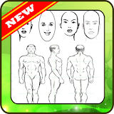 how to draw human body parts step by step icon
