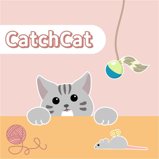 CatchCat 고양이 장난감