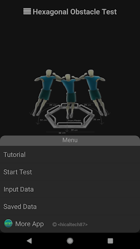 Hexagonal Obstacle Test
