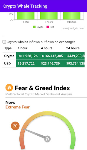 Crypto Whale Tracker App Screen 2