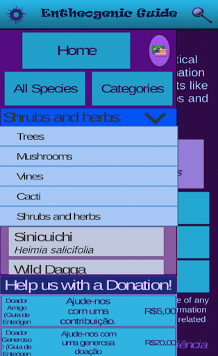 Entheogenic Guide Screen 2