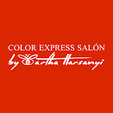 Color Express Salon icon
