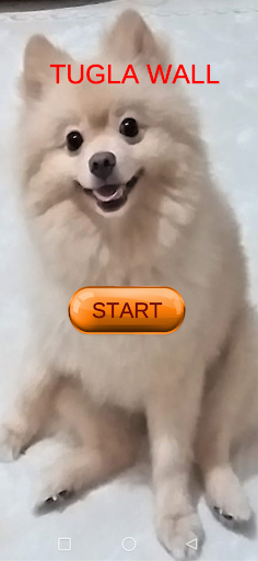 Android application Tugla Wall screenshort