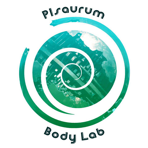 Pisaurum Trainer Lab logo