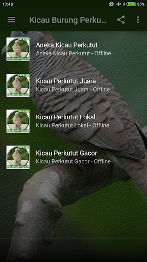 Kicau Perkutut Lokal Gacor Screen 2