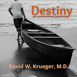 Obraz ikony: Destiny: An Uncommon Journey