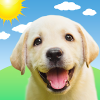 Weather Puppy - App and Widget