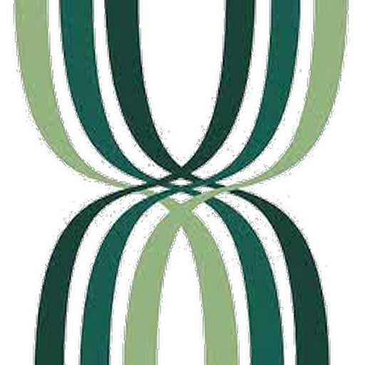 Nova Imagem Jatai logo