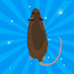 Cover Image of Télécharger Rodent - mouse games 1.1 APK