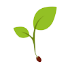 Seed2Plant icon