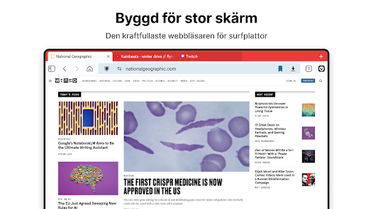 Skärmdumpsbild