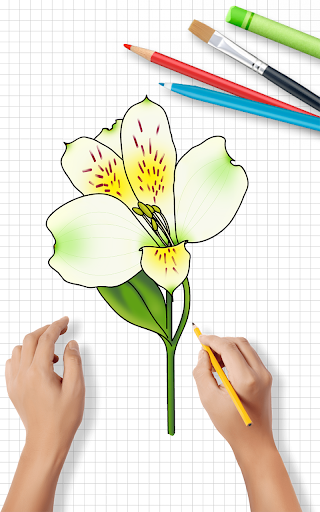 How To Draw Flowers  Flowers Drawing Step by Step