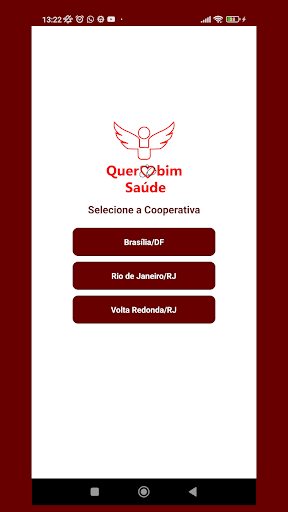Android application Querubim Saúde screenshort