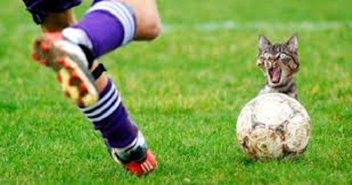 funny football videos Screen 2