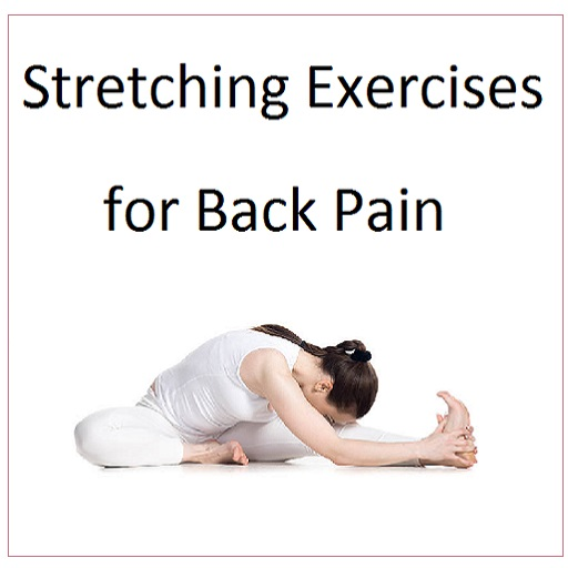 Stretching Exercises for Back Pain