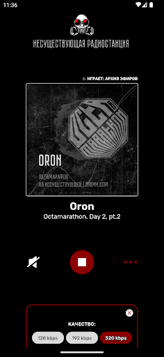 Imaginary Radiostation Screen 3