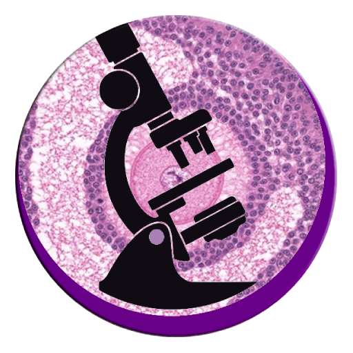 VHISTO - Histologia UERJ logo