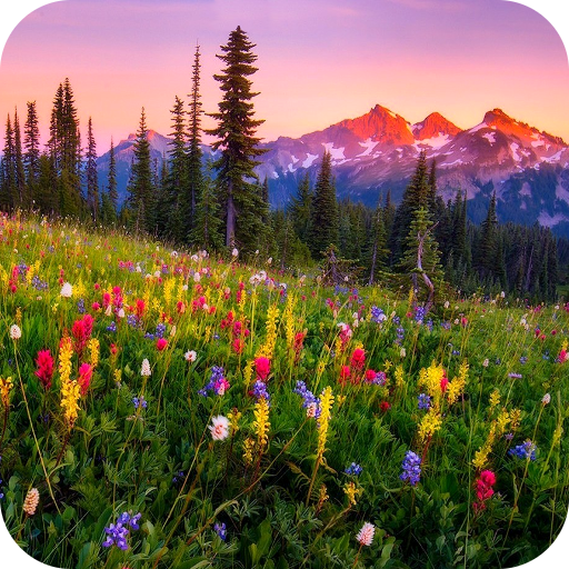 Mountain Flowers 3.4.0 Icon
