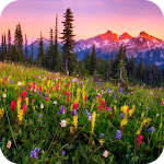 Cover Image of Download Mountain Flowers Live Wallpape  APK