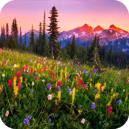 Icon image Mountain Flowers