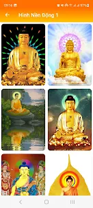 Cài Hình Nền Động Phật Giáo