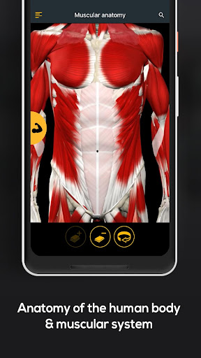 Screenshot of Anatomy by Muscle & Motion