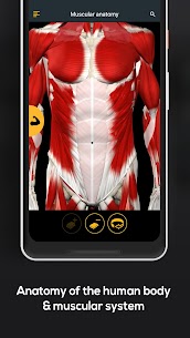 Anatomy by Muscle & Motion 2.1.72 Apk 3