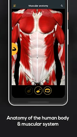 Game screenshot Anatomy by Muscle & Motion apk download