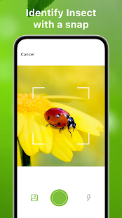 Bug Identifier Bug Finder Screenshot