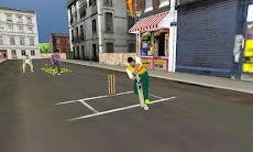 Street Cricketのおすすめ画像2