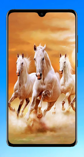 Horse Wallpaper 4K Screen 2