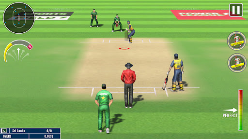 World Champion 3D Cricket Game