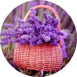 تصویر نماد Lavender Wallpaper