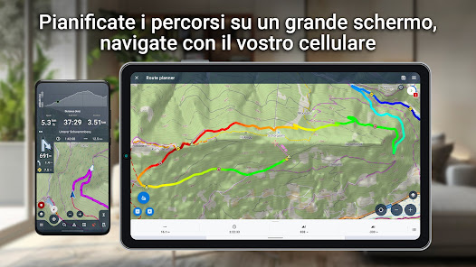 Immagine screenshot