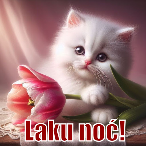 Android application Dobro veče Laku noć Slike screenshort