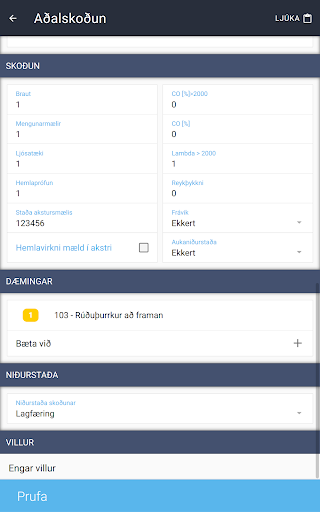 dk Skoðun Screen 3