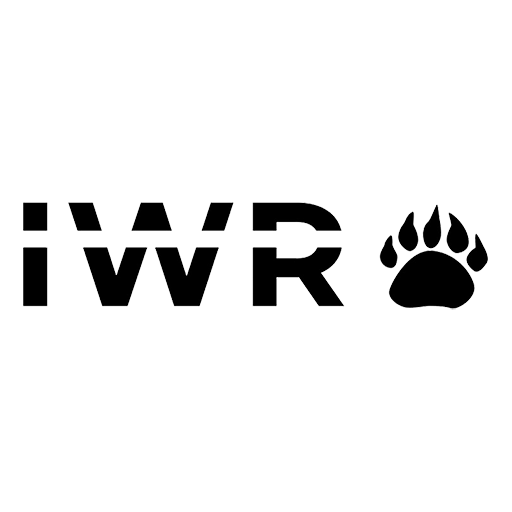 IWR Brand Game logo