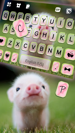 Cute Piggy Keyboard Background Screen 2