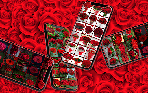 Rose pictures: all colors Screen 3