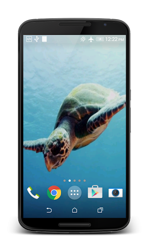 Turtle 3D Live Wallpaper Screen 2