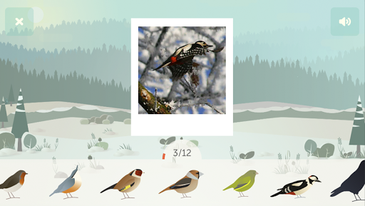BirdLab Screen 2