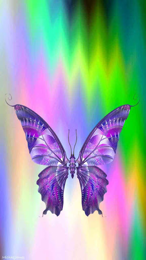Beautiful Butterfly Wallpaper Screen 2