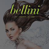 Bellini Team App icon
